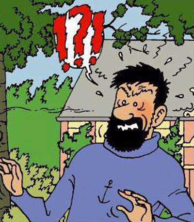 You're a Tintin beginner