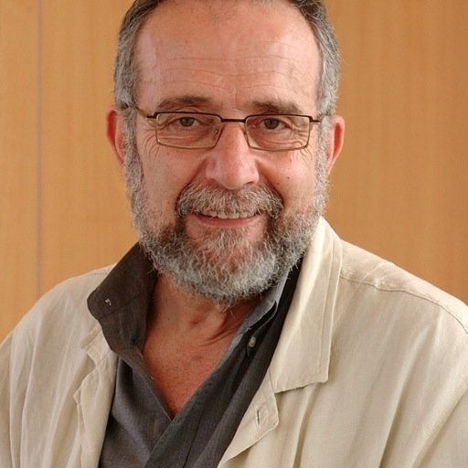Diputado de Podemos por Zaragoza.
