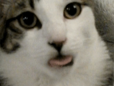 This one: