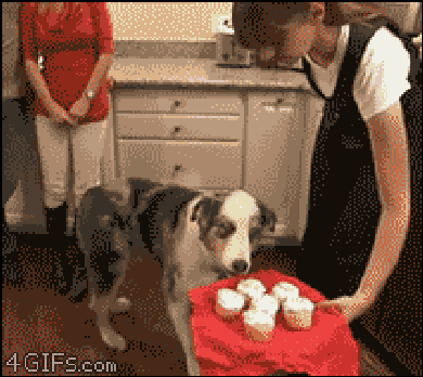 You're not going to touch the cupcakes! You are strong! You are invincible!