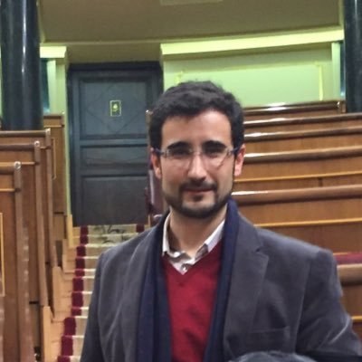 Diputado de Ciudadanos por Alicante.