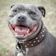 We Know Where You Were Born Based On Your Favorite Animals