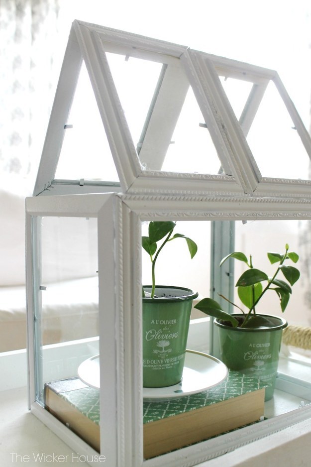 Add some life to your room with a DIY picture frame terrarium.