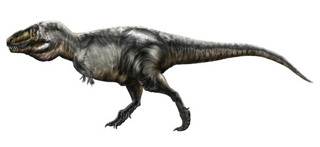 Tyrannosaurus Rex