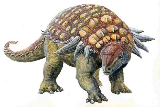 Ankylosaur