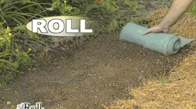 Who would've ever thought gardening could be so easy?!