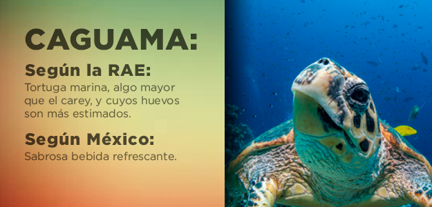 Ejemplo:Ahora sí discútete con las caguamas.