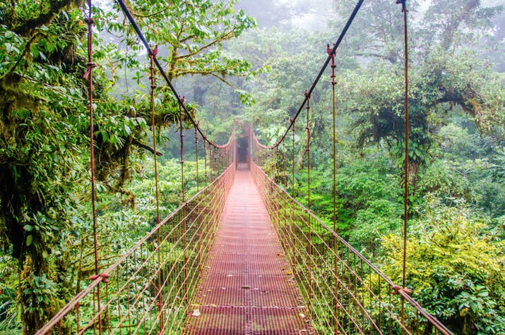 One of Costa Rica's biggest attractions is Monteverde, the cloud forest. The main difference between a cloud forest and a rainforest is that cloud forests are located at higher elevations — which makes them cooler and also creates a foggy, misty atmosphere.Whatever the science behind it, though, the fact is that cloud forests are super magical and definitely worth a visit.
