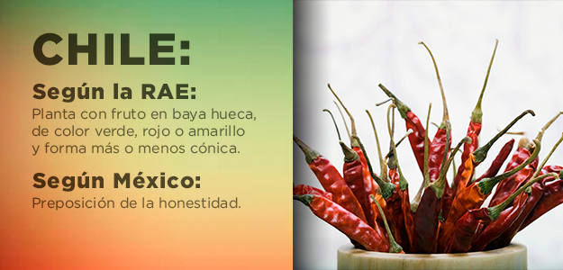 Ejemplo:Al chile no sé ni de qué hablo.