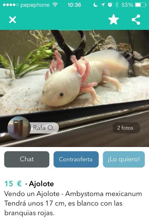 "¿Esto se puede comer?".