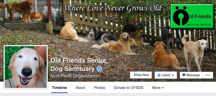 Old Friends Senior Dog Sanctuary" Is The Best Facebook Page Ever ... Old Friends Senior Dog Sanctuary" Is The Best Facebook Page Ever ...