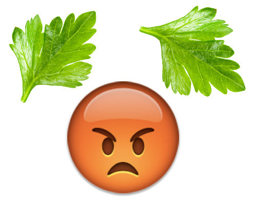 You hate cilantro