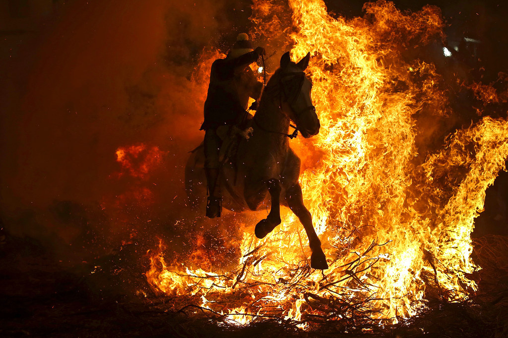 A man rides a horse through a bonfire in San Bartolome de Pinares, Spain, as part of a ritual in honor of Saint Anthony the Abbot, the patron saint of domestic animals. On the eve of Saint Anthony's Day, dozens ride their horses through the narrow cobblestone streets during the "Luminarias," a tradition that dates back 500 years and is meant to purify the animals with the smoke of the bonfires and protect them for the year to come.