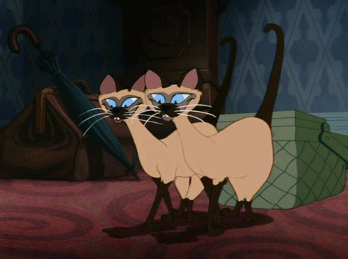 "We Are Siamese" - Lady and The Tramp