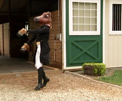 You're trotting along the path to becoming a bona fide horse person!