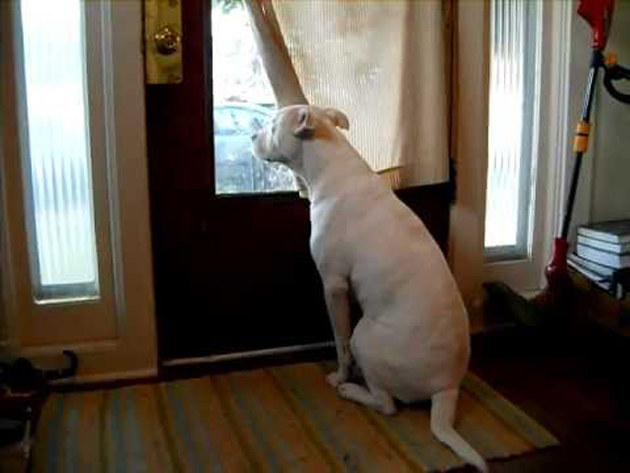 You learn their scheduleSo when they're about to miss class- you barge into their room and make them get up but when they're gone you just sit and wait for them to come back.