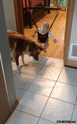 The surprised duo!