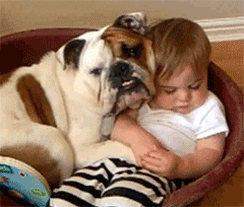 The nap time buddies!