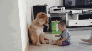 The paw friends!