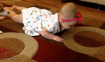 The teach me how to crawl!