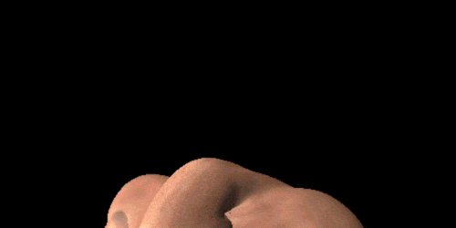 The Flying Nudist