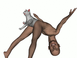 The Butt Kitty