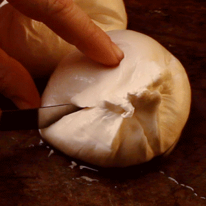 Queso burrata