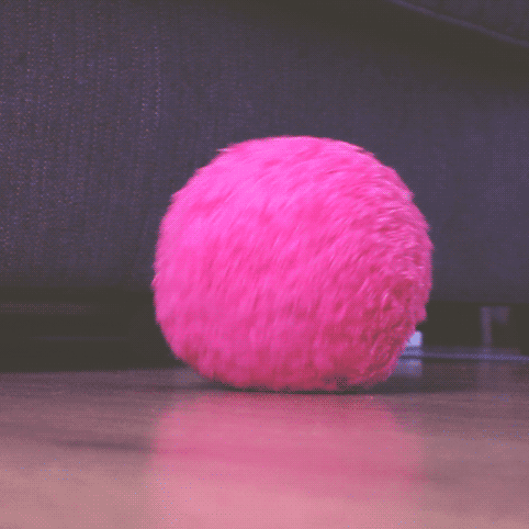 This "Magic Cleaning Furball" that comes with a removable and washable cover. Find it here.