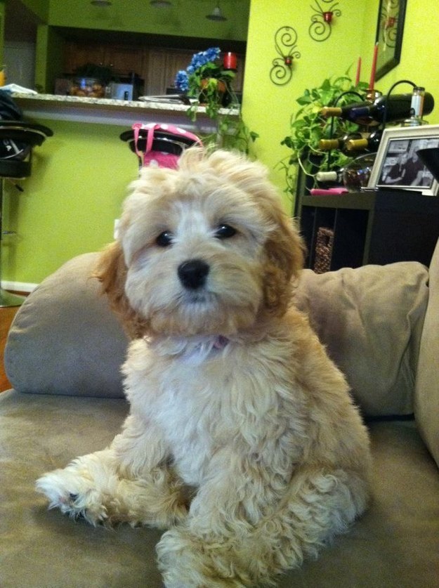 Ted!