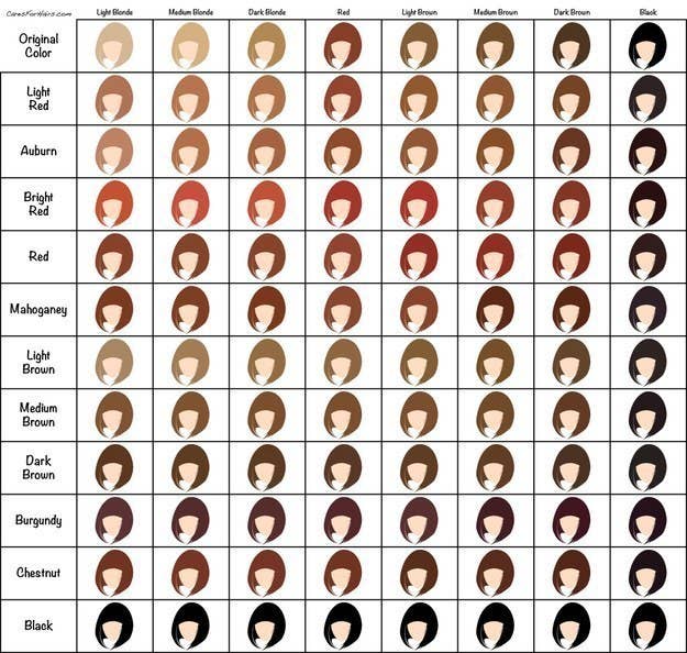 31 Charts That Ll Help You Have The Best Hair Of Your Life