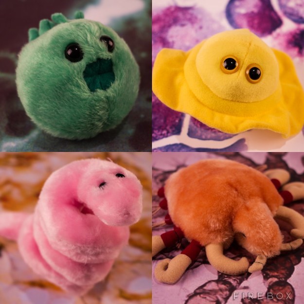 chlamydia cuddly toy