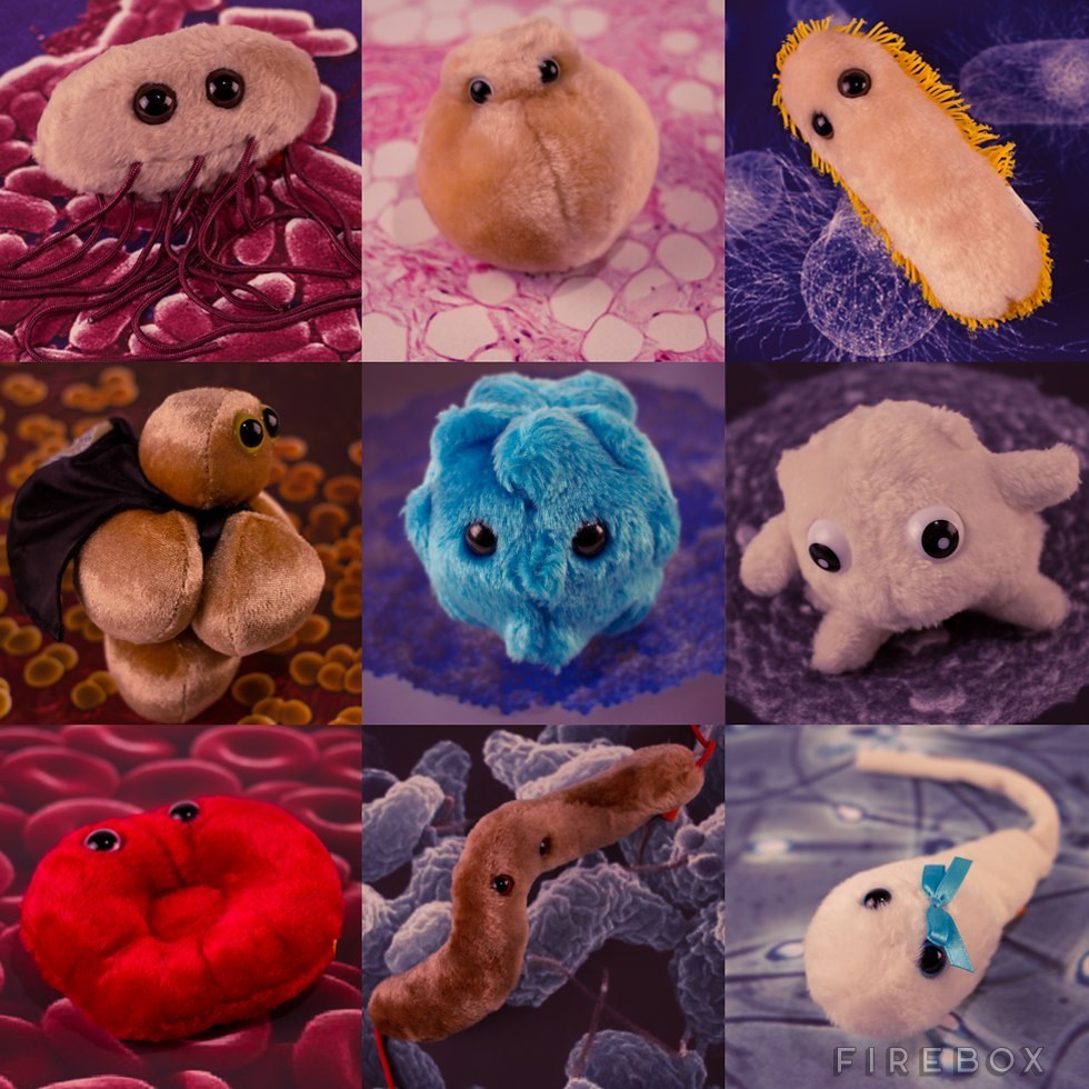 unusual stuffed animals