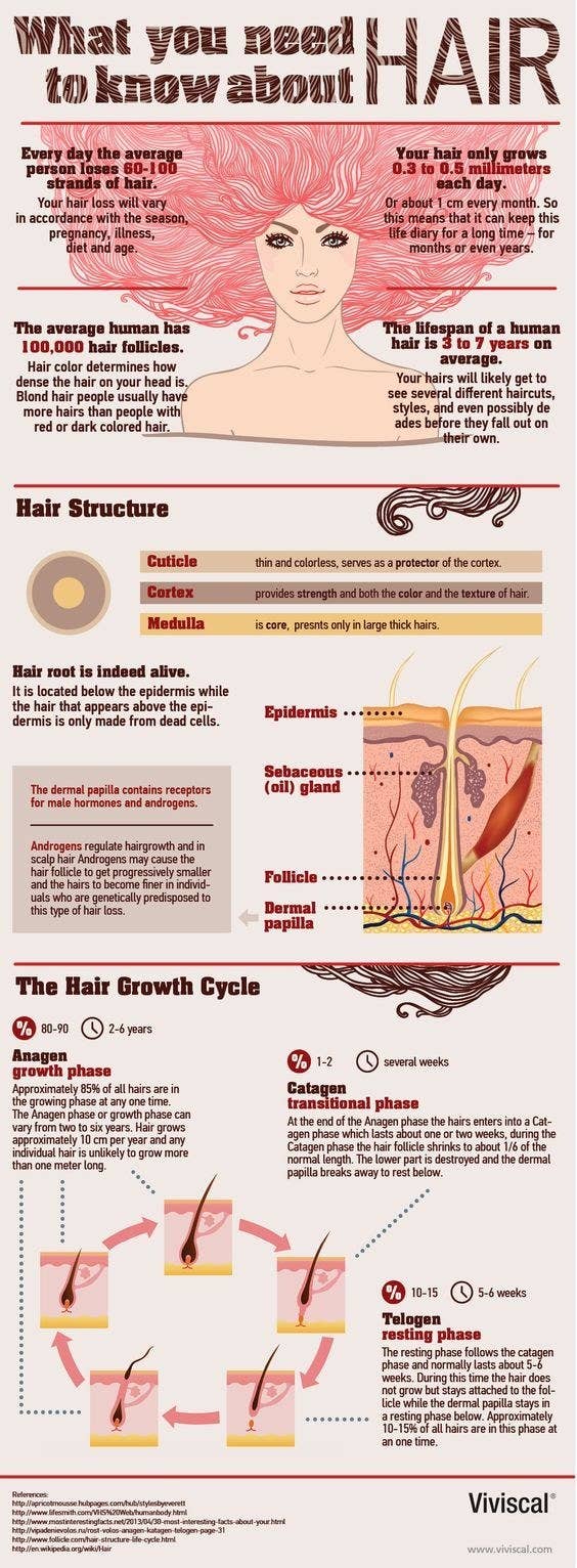 31 Charts That Ll Help You Have The Best Hair Of Your Life