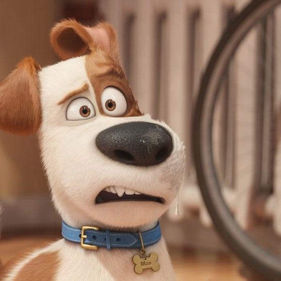 The New Trailer For "The Secret Life Of Pets" Is Here And It's Adorable