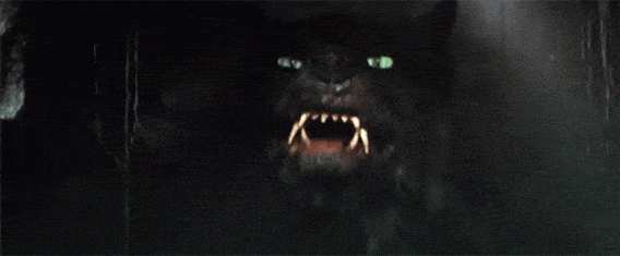 He also needs a dentist to take care of those canines.
