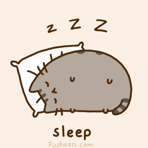 Lazy Pusheen