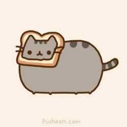 IDGAF Pusheen