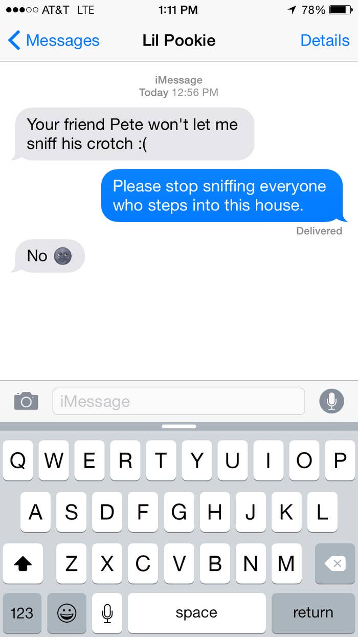 Sending Rude Messages 18 Unbelievably Rude Texts Only Your Dog Would Send You