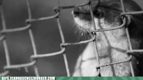 You want your freedom, and that's OK.