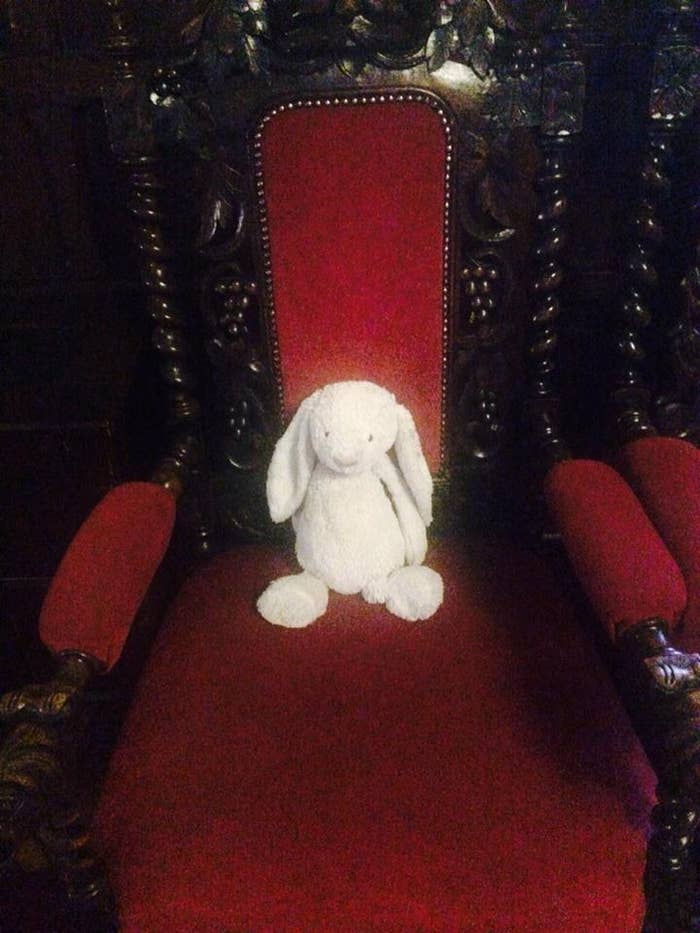 this stuffed bunny got left behind at a hotel and became a