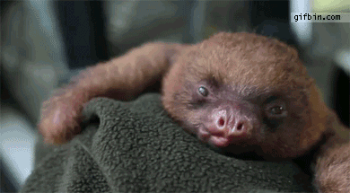 Nighty night.