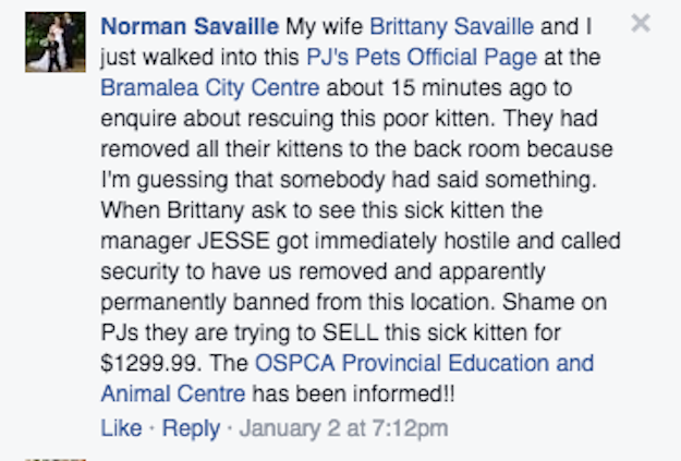 A spokesperson for the OSPCA told BuzzFeed Canada they could not offer any specifics about the case, as it's still under investigation."I can share that we are making sure the kitten is getting the care it requires as outlined under the Ontario SPCA Act," said Alison Cross.