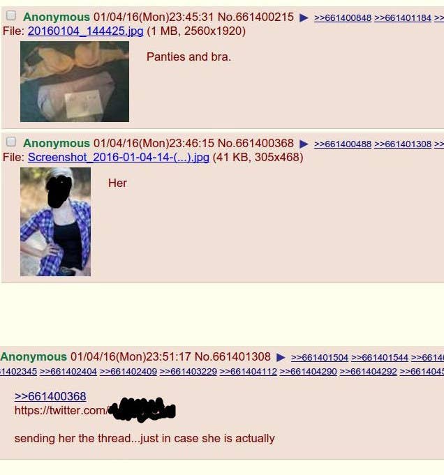 4chan Is Currently Hacking This Girl After Daring Her Brother To Put On