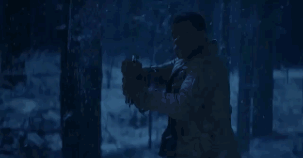 Finn