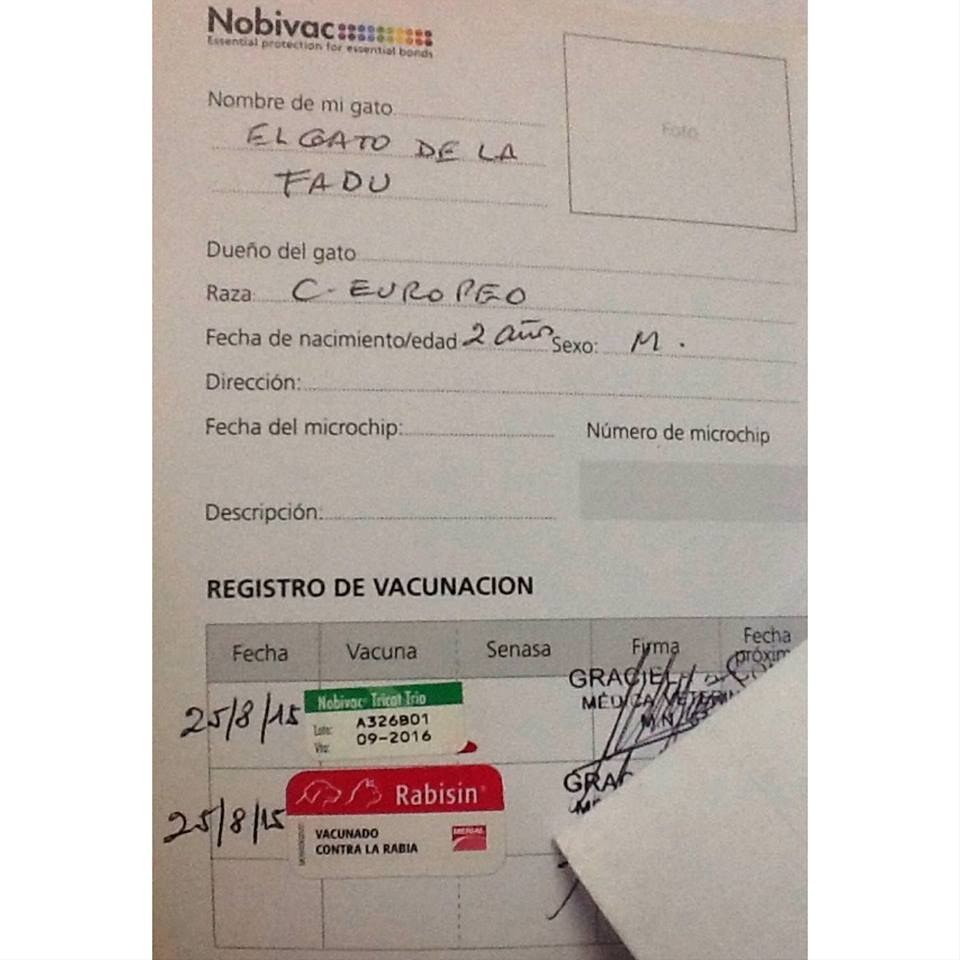 Acá están las vacunas de El gato de la FADU. La libreta se encuentra en la biblioteca y entre todos colaboran para que su salud y bienestar estén aseguradas.Y no importa si los alumnos están de vacaciones, siempre hay personal en el edificio que lo alimenta. Y si no, él sabe cazar y volver para rendir materias de verano.