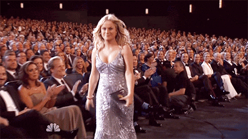 Amy Poehler