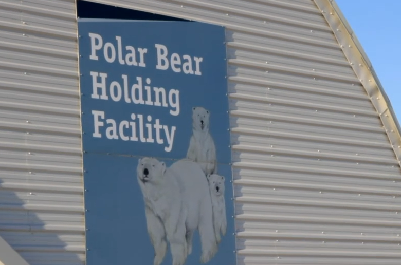 The polar bear jail