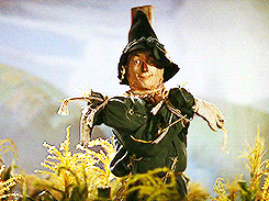 You Picked the Right Scarecrow