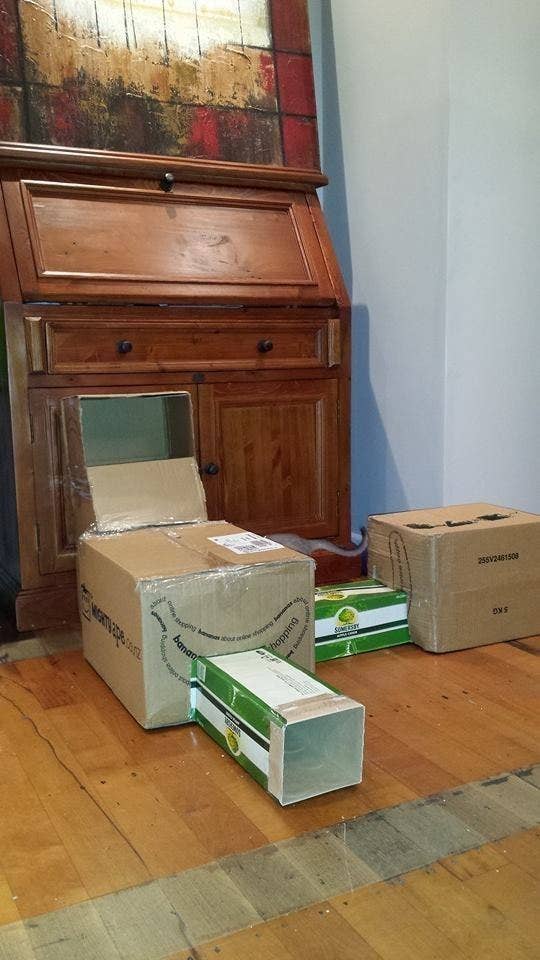 16 Badass Cat Forts