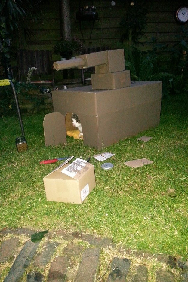 Medium: Cardboard, paint, ambition.